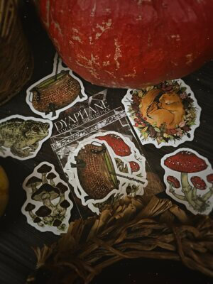 Alternative view of PACK DE STICKERS - Dyaphane Magazine